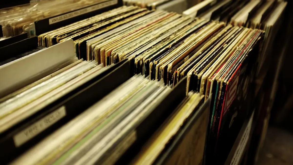 Müzik ve plak koleksiyonu